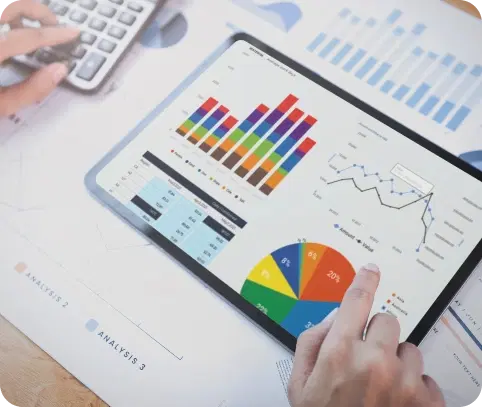 Analytics & Performance Reporting