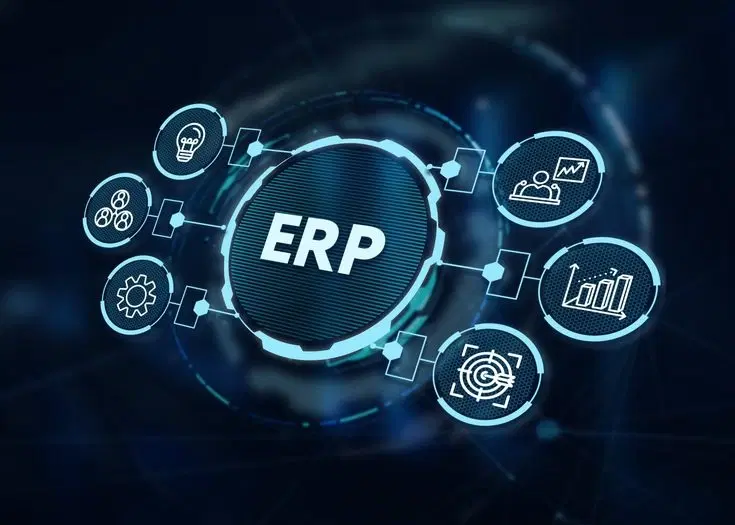 ERP Module Development
