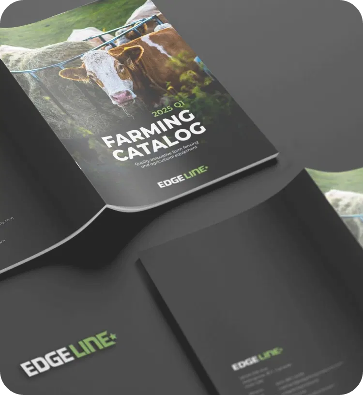 Team working together