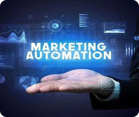 Marketing Automation Strategy & Consulting